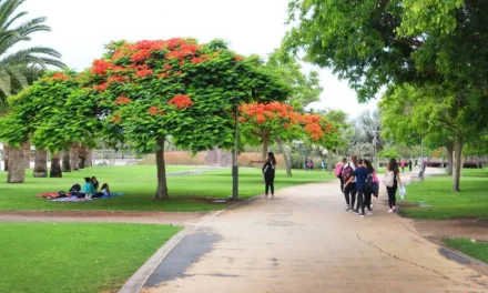 The Parque Sur Maspalomas closes completely between 10-16 September