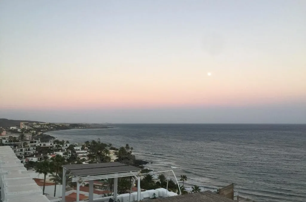 Two suspected theives arrested after stealing documents and car from Playa del Águila