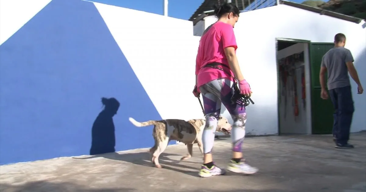 Mogán one of Gran Canaria’s leaders in commitment to the welfare and protection of animals