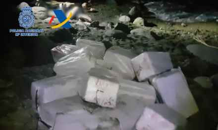 Mogán: €100m of smuggled cocaine seized, 17 members of gang caught red handed in Playa del Cura