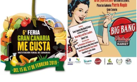 The Canary Guide Weekend Tips 15-17 February 2019