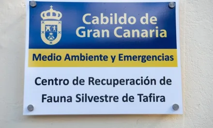 The Centre for Wildlife Recovery of Cabildo’s new operating room