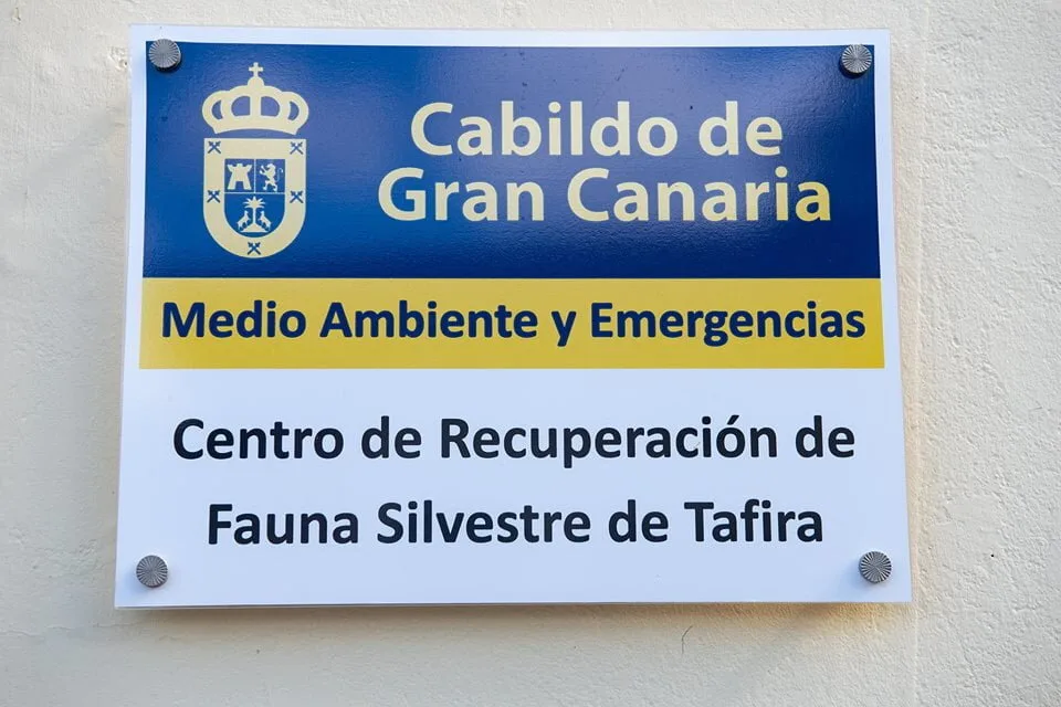 The Centre for Wildlife Recovery of Cabildo’s new operating room