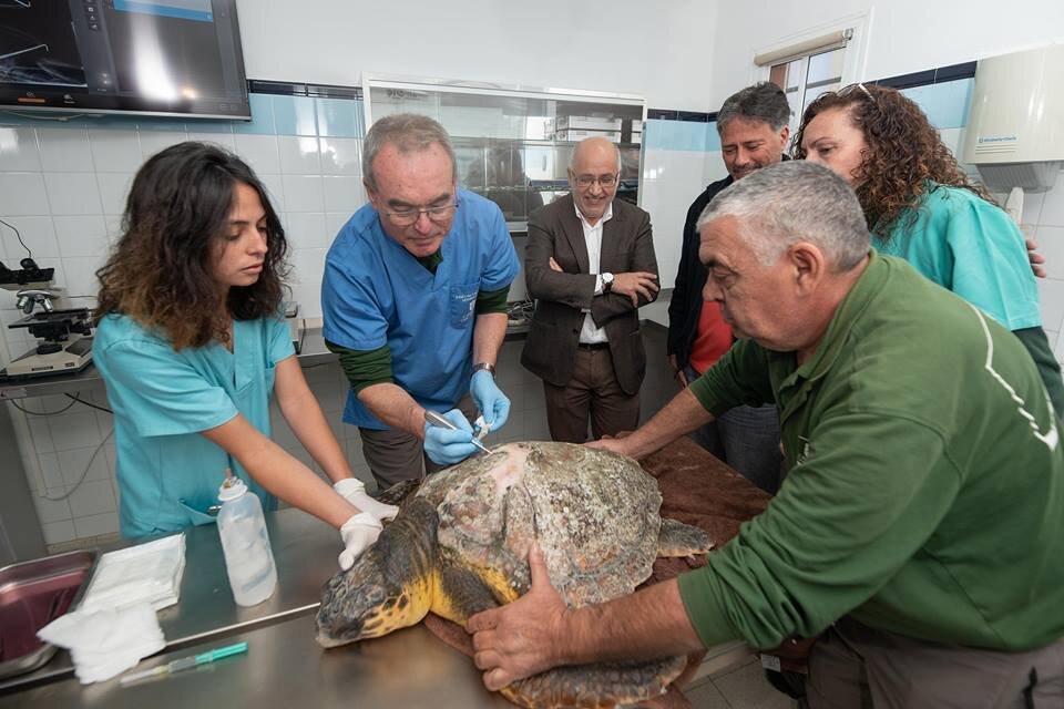 The Centre for Wildlife Recovery of Cabildo's new operating room • The ...
