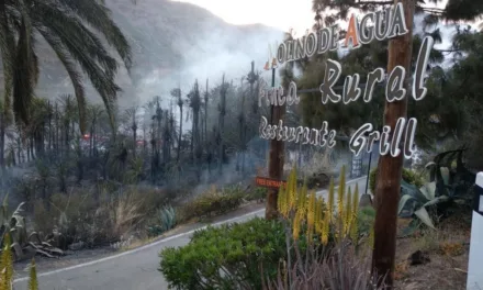 The source of the fire in Fataga under investigation