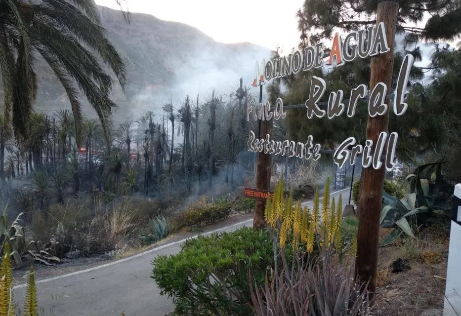 The source of the fire in Fataga under investigation