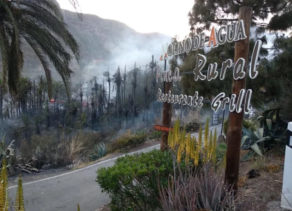 The source of the fire in Fataga under investigation