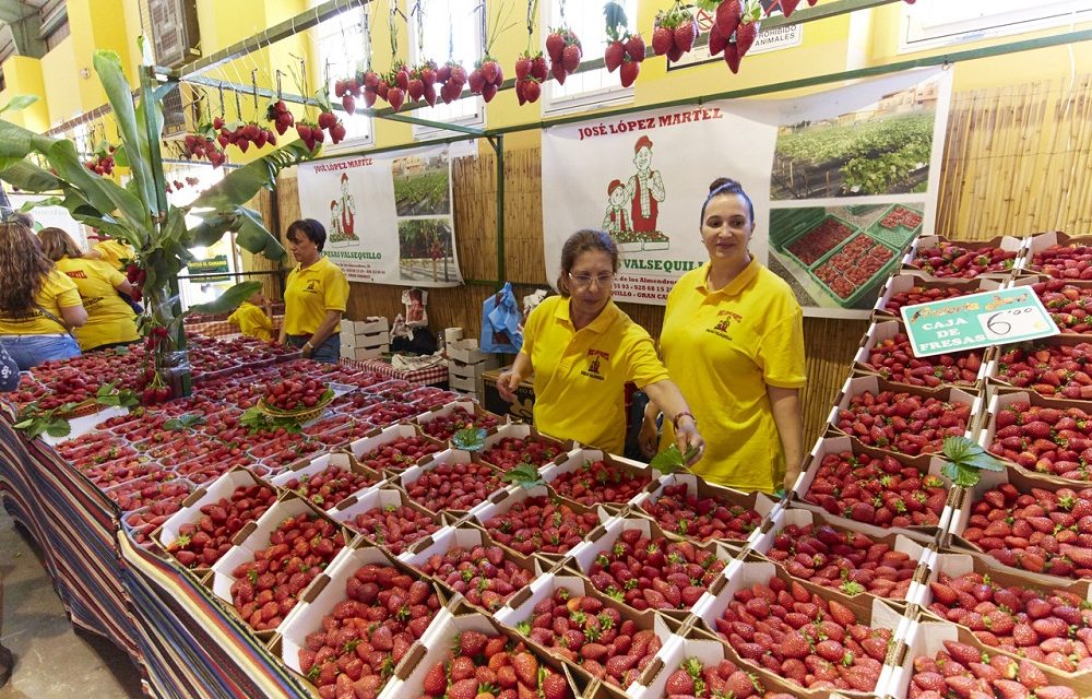 Events: Strawberry Fair Valsequillo de Gran Canaria