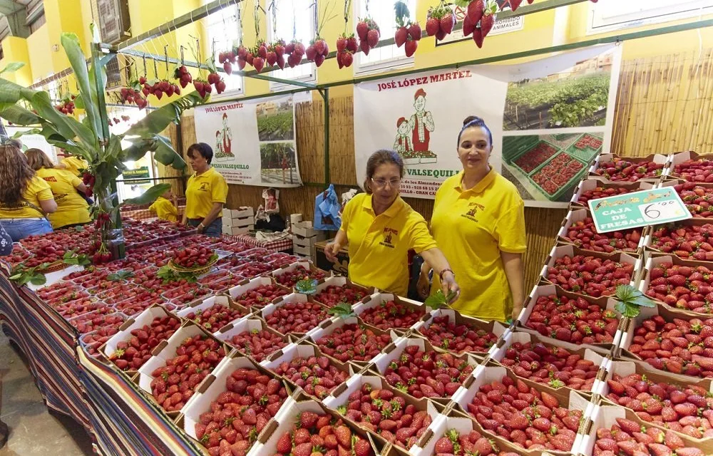 Events: Strawberry Fair Valsequillo de Gran Canaria