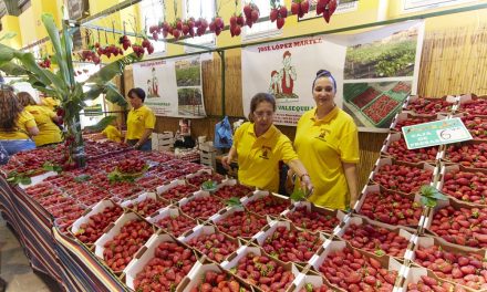 Events: Strawberry Fair Valsequillo de Gran Canaria