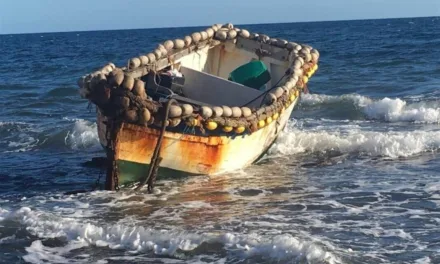 Newsbrief: Twenty-six new boat people arrive on south of Gran Canaria