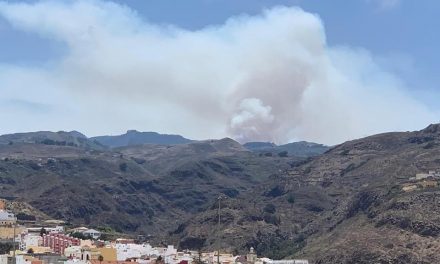 Firefighters battle blaze at the summits of Gran Canaria