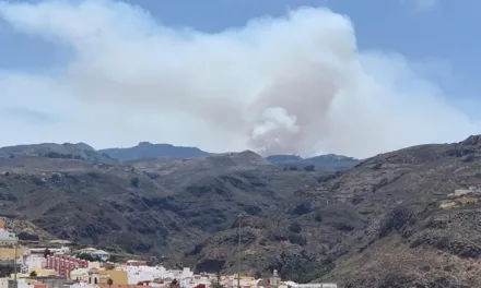 Firefighters battle blaze at the summits of Gran Canaria