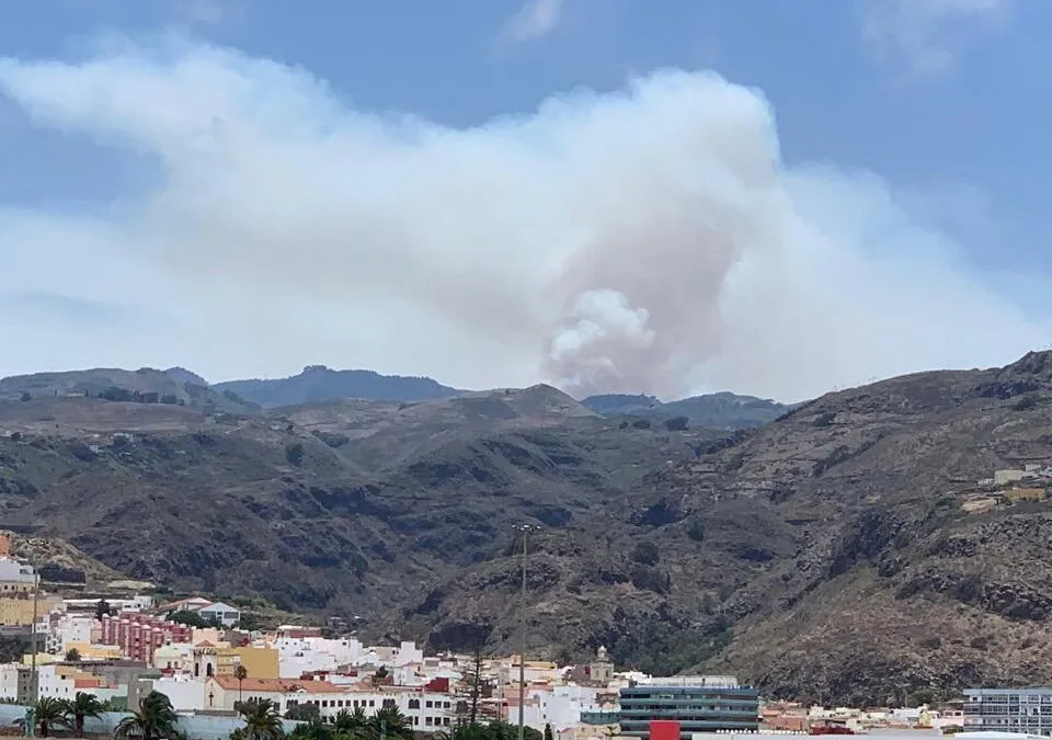Firefighters battle blaze at the summits of Gran Canaria