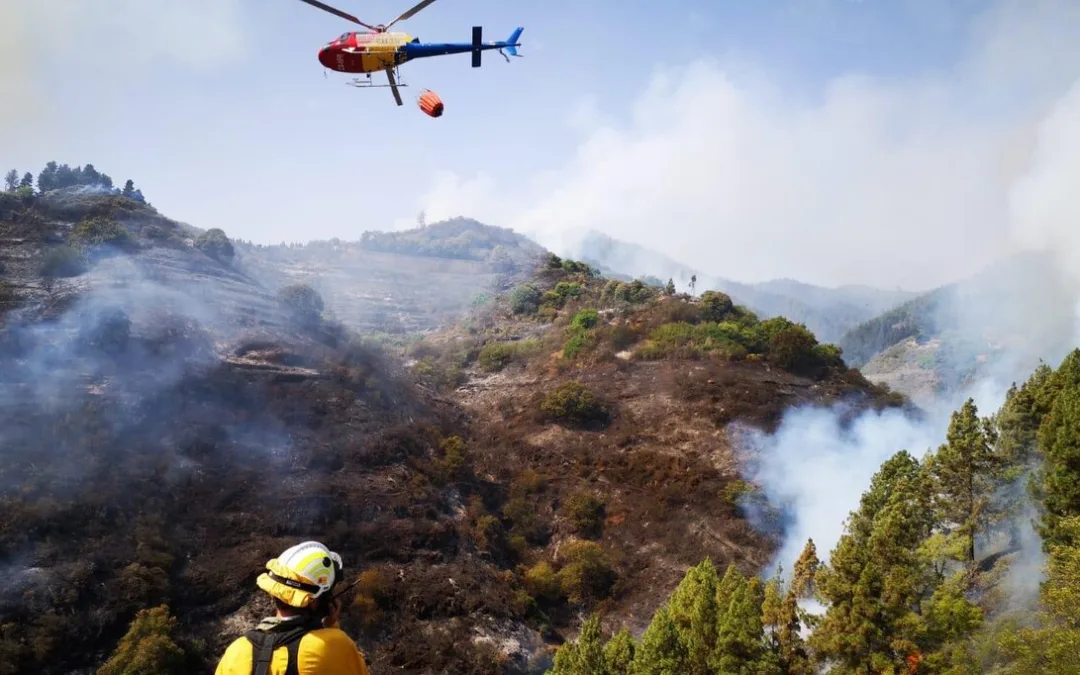 Gran Canaria Fire Latest: “The fire is neither contained nor stabilised nor controlled”
