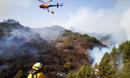 Gran Canaria Fire Latest: “The fire is neither contained nor stabilised nor controlled”