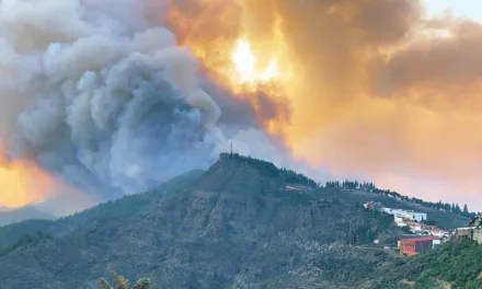 Gran Canaria Fires: Canary Islands Government praise firefighters and resolve to beat the fire