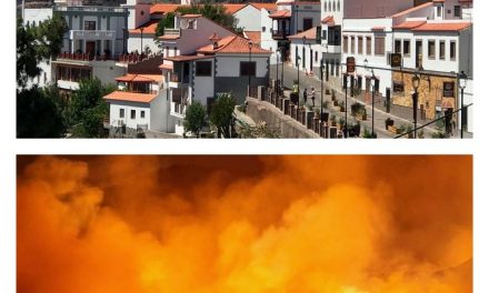 Gran Canaria Fire declared stable, though firefighters remain vigilant…
