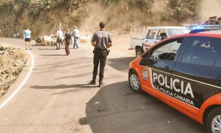 Gran Canaria Fires: Island people join together to help animals affected by the flames