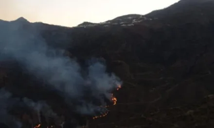 Gran Canaria Fires: Fire slows as winds die down and conditions favour our forest firefighters