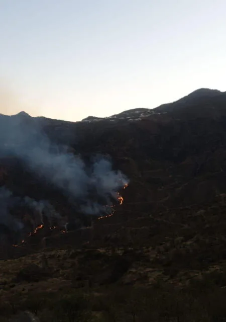 Gran Canaria Fires: Fire slows as winds die down and conditions favour our forest firefighters