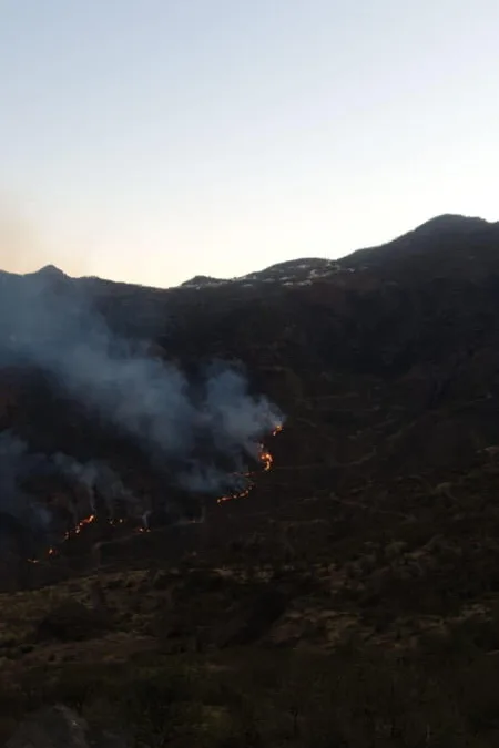 Gran Canaria Fires: Fire slows as winds die down and conditions favour our forest firefighters