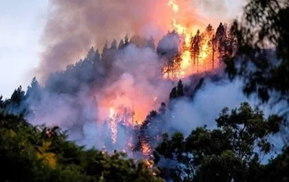 Gran Canaria Fires: could be 60km2 burned, 8,000 evacuated, no injuries, but many houses lost