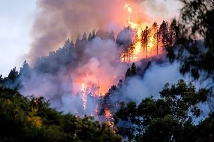 Gran Canaria Fires: could be 60km2 burned, 8,000 evacuated, no injuries, but many houses lost
