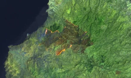 Gran Canaria breathes a sigh of relief as firefighters regain control