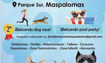 Maspalomas Parque Sur Pet Fair