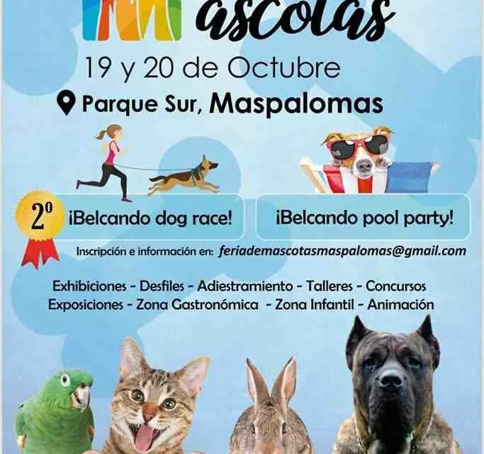Maspalomas Parque Sur Pet Fair