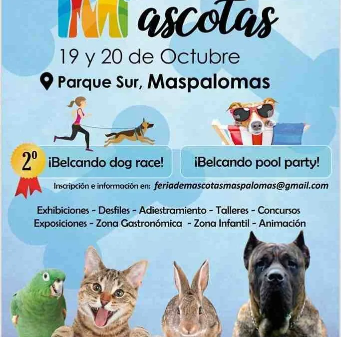 Maspalomas Parque Sur Pet Fair