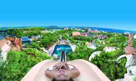 Spanish Treasury claims land ownership confirmation and rights to compensation for the Siam Park project