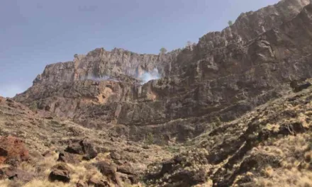 Fires on Gran Canaria appear controlled, situation evolving…