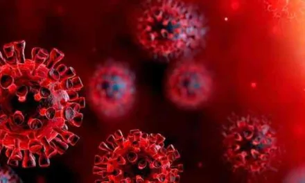 Official coronavirus numbers climb in Canary Islands, as of 8pm previous night.