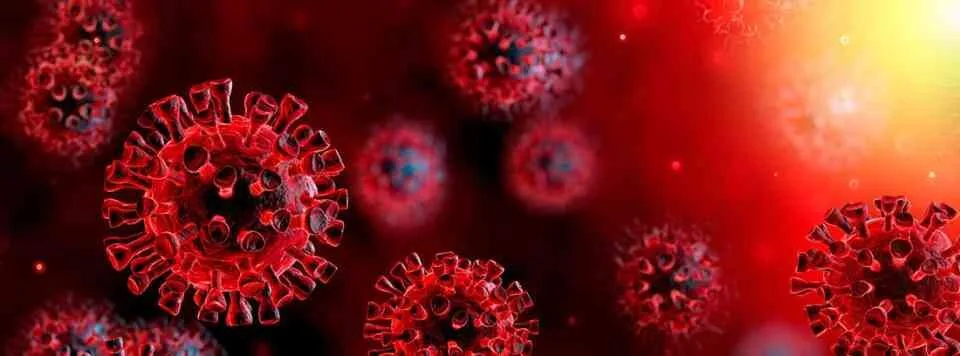 Official coronavirus numbers climb in Canary Islands, as of 8pm previous night.