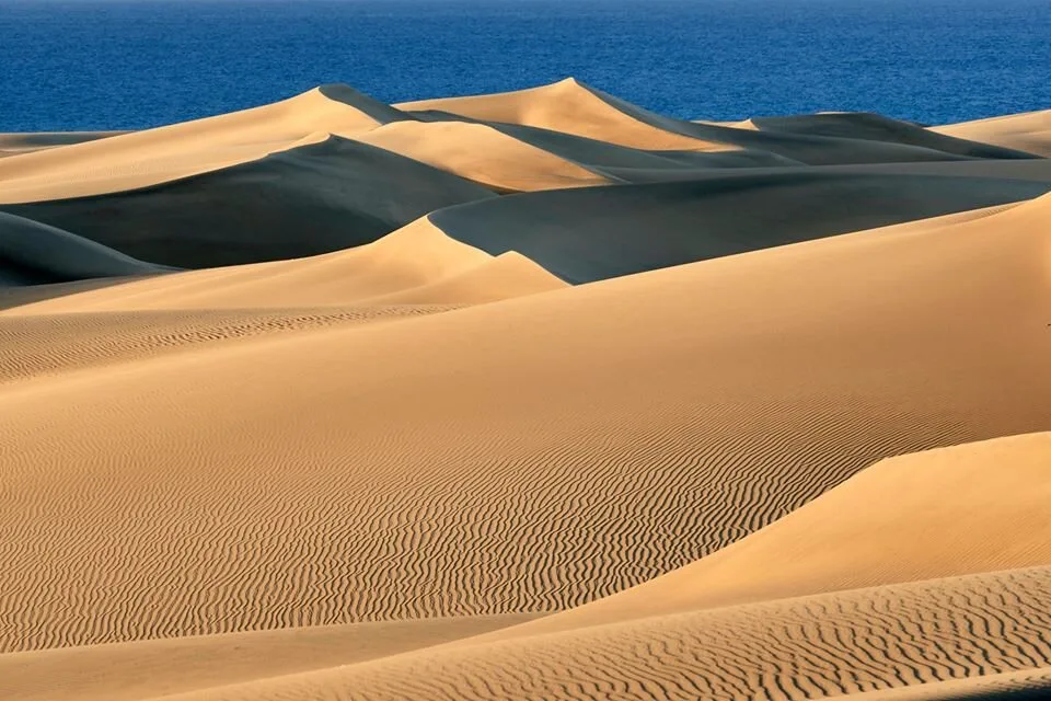 Maspalomas Dunes recover to look more like the dreamy landscape it was 50 years ago, before mass tourism