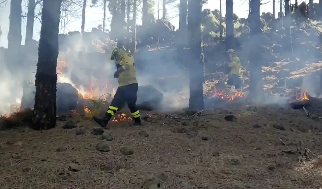 Cabildo de Gran Canaria & firefighters carry out controlled burns at summits