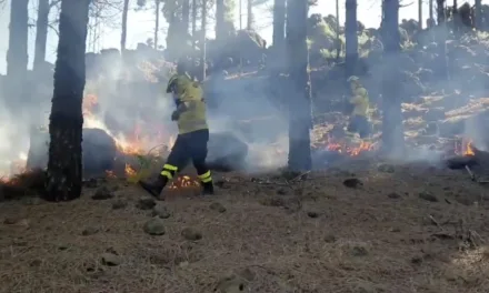 Cabildo de Gran Canaria & firefighters carry out controlled burns at summits