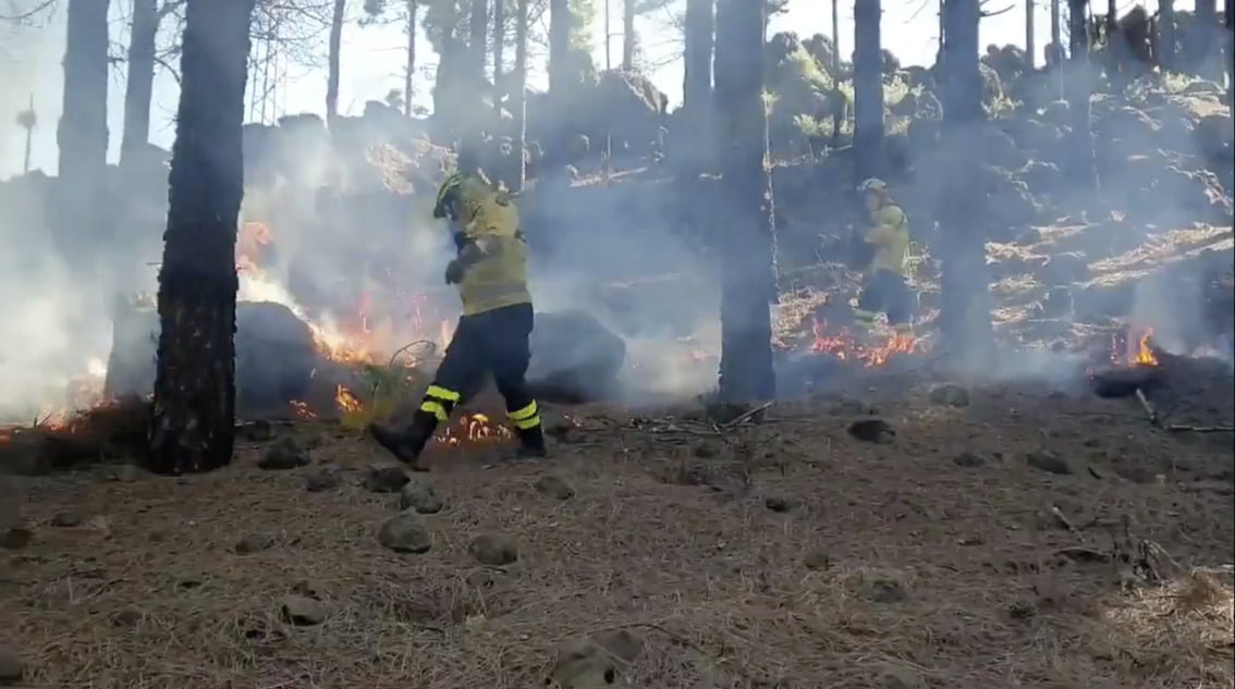 Cabildo de Gran Canaria & firefighters carry out controlled burns at summits