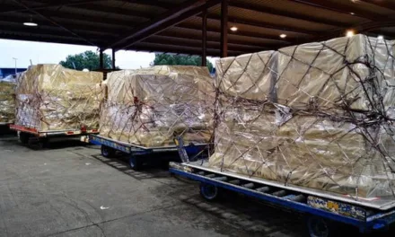 Half a million masks and nearly 60,000 diagnostic test kits arrive on Canary Islands