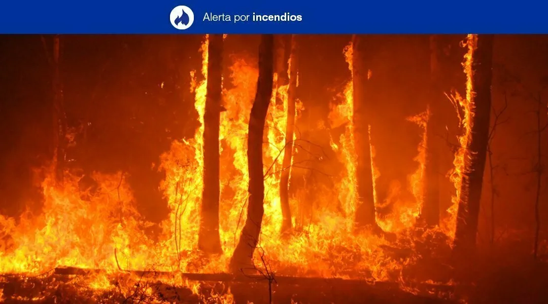 Forest Fire Risk Alert for Saturday 23 May on Gran Canaria, and the western Canary Islands
