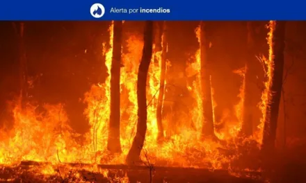 Forest Fire Risk Alert for Saturday 23 May on Gran Canaria, and the western Canary Islands