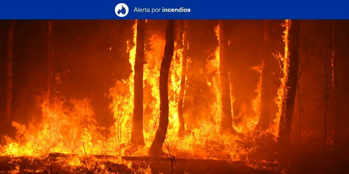 Forest Fire Risk Alert for Saturday 23 May on Gran Canaria, and the western Canary Islands