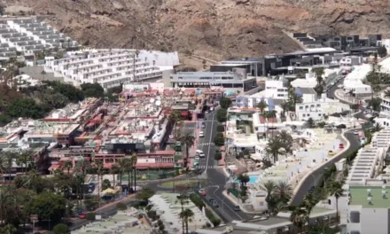 Ayuntamiento de Mogán Town Hall fines five bars €15k each