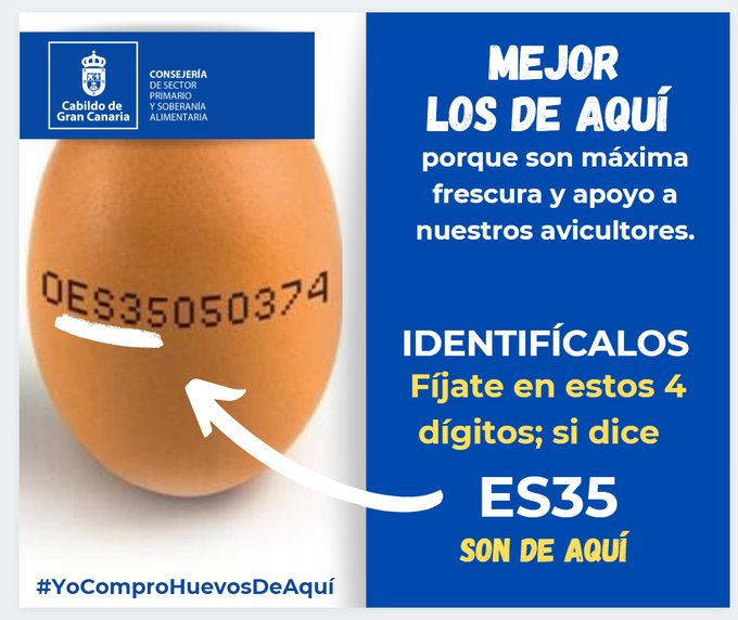 How to identify the freshest Gran Canaria eggs, and ensure they are humanely produced