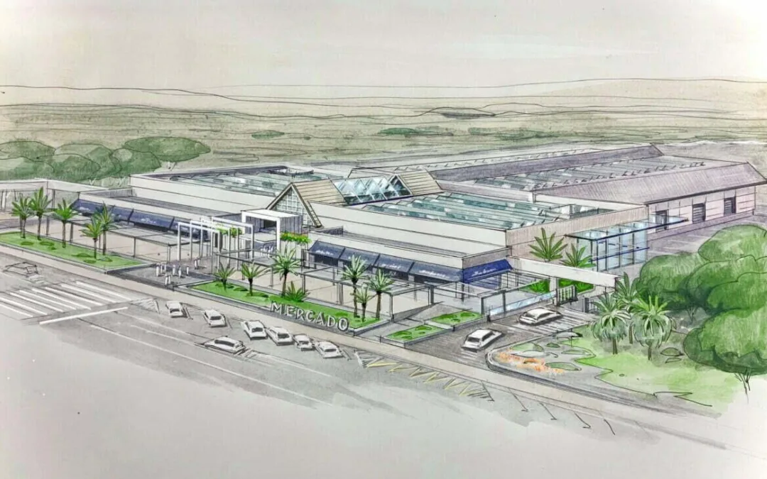 The Canary Guide: The new “Mercado de Maspalomas” will bring residents, tourists and local produce together