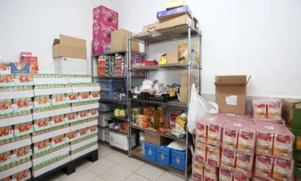 The Food Project: When your local council refuse to help Families in Need and you have to call the Army
