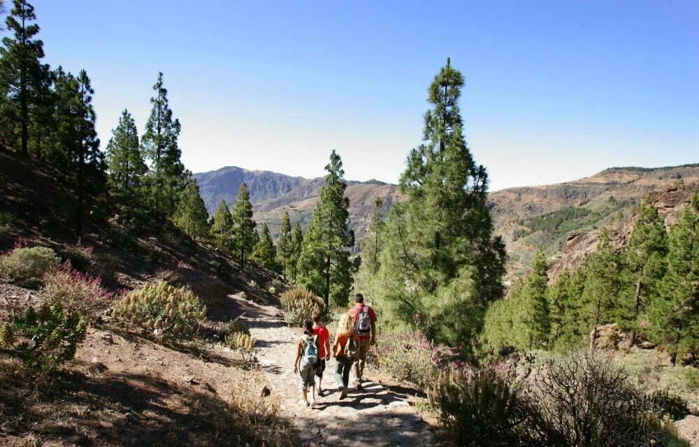 Positive news for recovery of tourist flows for this winter season in The Canary Islands