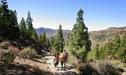 Positive news for recovery of tourist flows for this winter season in The Canary Islands